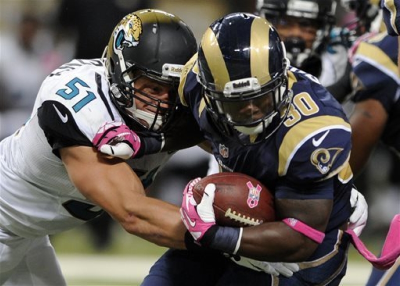 Carolina Panthers vs St. Louis Rams 2013