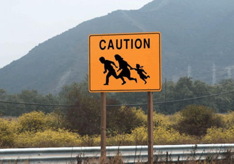 Illegal Immigration Crisis