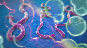 Ebola Strand