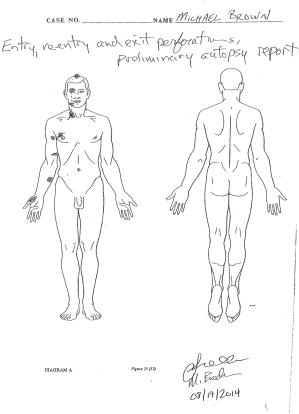 A Sobering Autopsy of Michael Brown