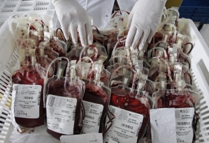 Ban on Gay Men Blood Donation 