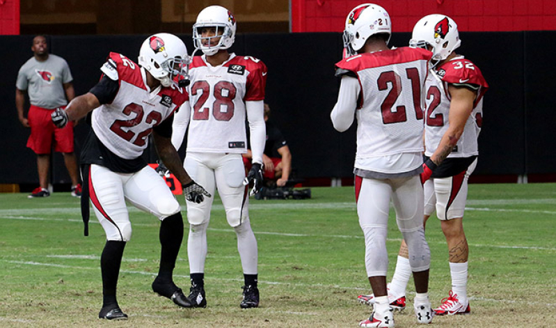 Arizona Cardinals Training Camp