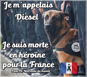 Je Suis Diesel