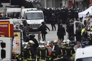 Diesel French Police Dog