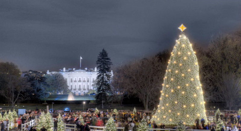 National Christmas Tree Lightning Website