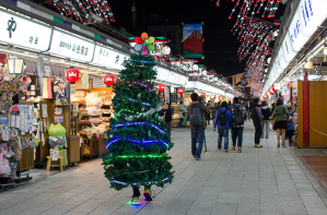 The Living Christmas Tree