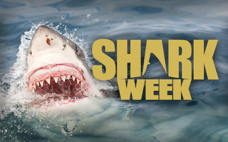 Shark Week 2016