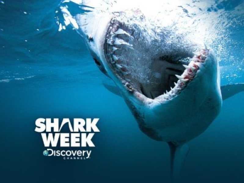 Shark Week 2016