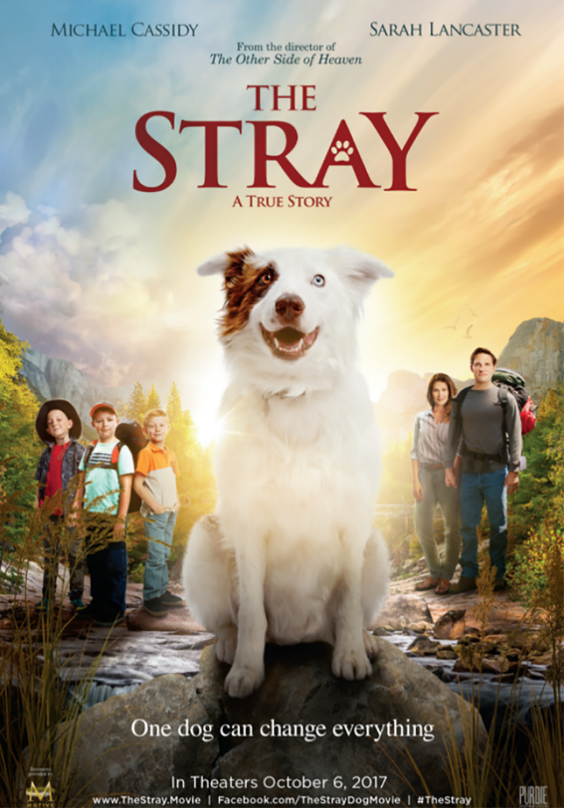 The Stray Movie