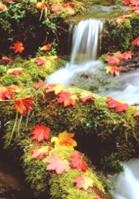 「論盡人生」第二講：「季節交替中的人生智慧」