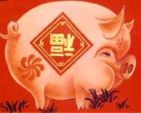 豬年論豬
