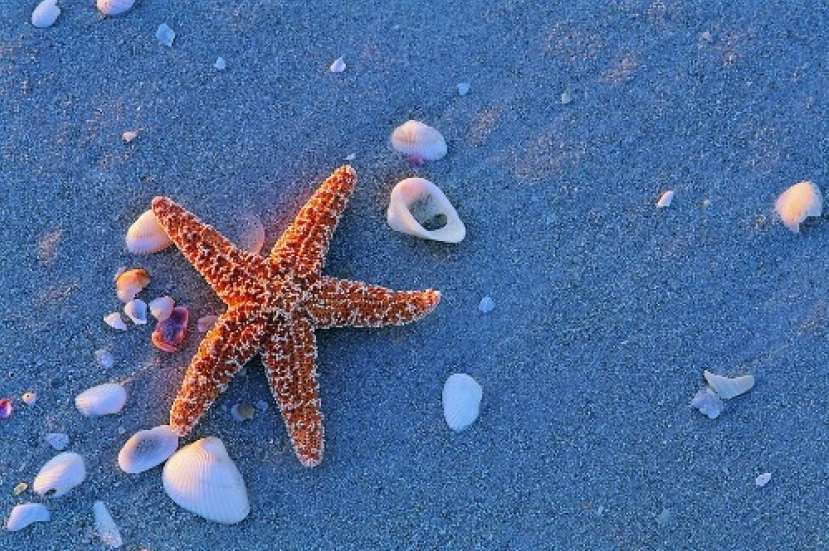 如何令世界更美好？