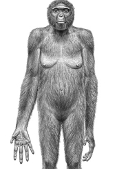 最早「人類祖先」出爐 科學家持觀望態度