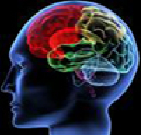 智商(IQ)、情緒智商(EQ)、逆商(AQ) 重要嗎？