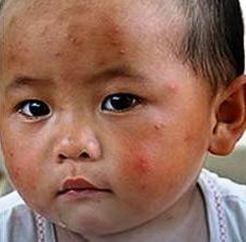 視博恩為日本賑災義賣歌曲