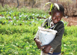 送豬送羊送種子 宣明會籲聖誕行善救飢餓