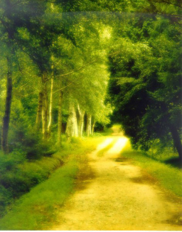 《荒漠甘泉》3月26日