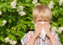 春天常吃四種食物抗過敏