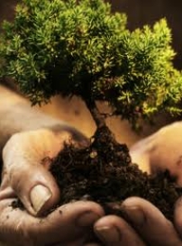 基督教資源機構：為教會傳福音狀況把脈診斷