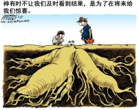 用信心生活（下）：神怎樣應許，就怎樣相信