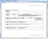 馬來西亞大選插曲