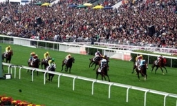 马会投注额创新高 过来人劝赌徒别