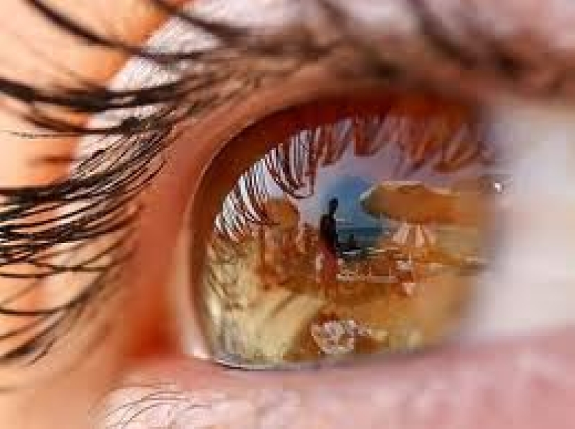 与眼睛立约——怎能恋恋瞻望处女呢﹖