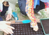 上帝帶領轉化土地 大埔使命農場「添恩園」成立