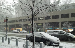 美东北迎来暴风雪 纽约市一夜换白装