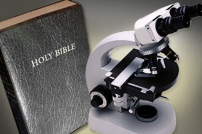 余創豪：沒有思想的盲目進化？