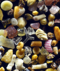 上帝創造有多偉大﹖攝影師親證大自然無比奇妙