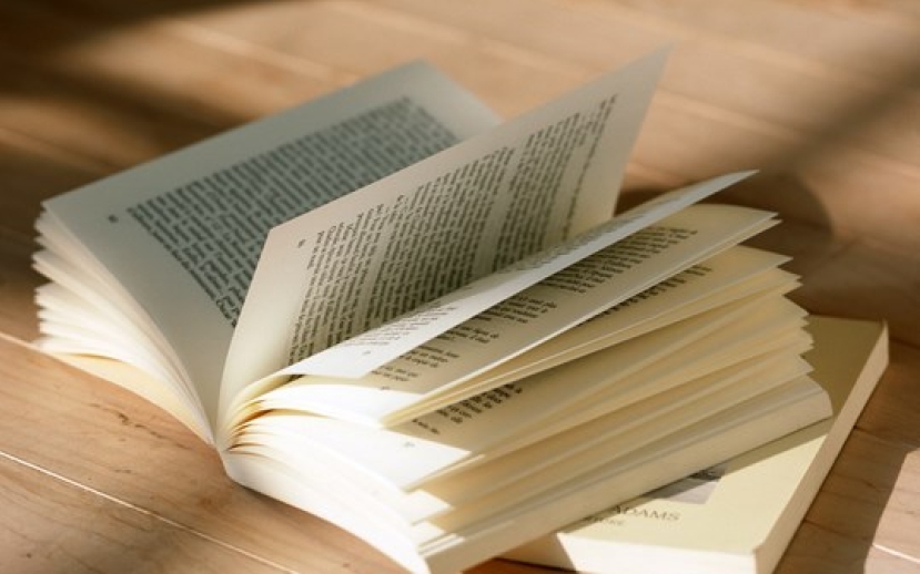 牧者籲重視文學建造教會的作用