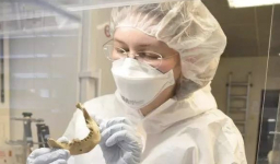 首例可靠古埃及木乃伊DNA研究 支持挪亞兒子含的《聖經》記載