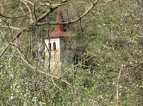 教會隱世? 調查揭青少年離教導火線