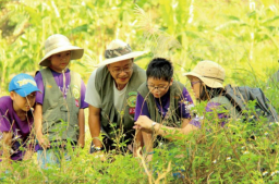 台灣國家祈禱會 牧者民間籲維護家庭價值