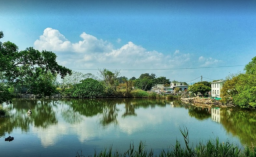 香港土地供應諮詢結束 協進會關注生態公義