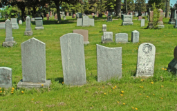 明光社訪16位長者看死亡：安葬從簡免煩後人