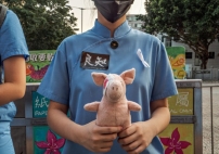 解鈴還需繫鈴人 牧師促以真相止息社會暴力