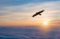 牧者證道：港信徒儲備屬靈資產迎長遠艱難