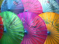 牧者證道:等待是神賜的屬靈保護傘