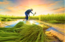 證道論金錢:思維逆轉貧窮變富足