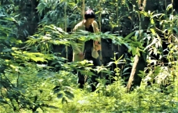 中亞秘密信徒怎樣生活？ 森林藏聖經 染疫遭虐待