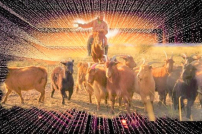 「電子牧人」拯救失喪「電子羊」 網絡世界有聖靈？