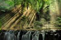 印度泛靈教村民強迫基督徒挖掘屍體