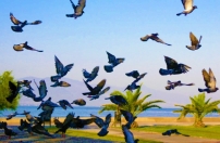 世界和平日：「教育、工作、世代對話」建設社會