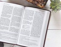 聖經《激情譯本》被指添加人意 遭刪除