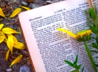 10節最受歡迎聖經經文 首位：約翰福音3章16節