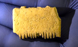 3700年頭梳刻迦南語 促古人梳髮除蝨