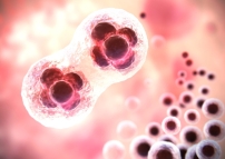 我是誰？英國首批「三親嬰兒」疑越過倫理底線