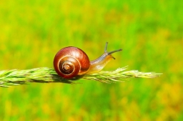 後疫情時代報復式事工? 「比慢精神」教會添人情味